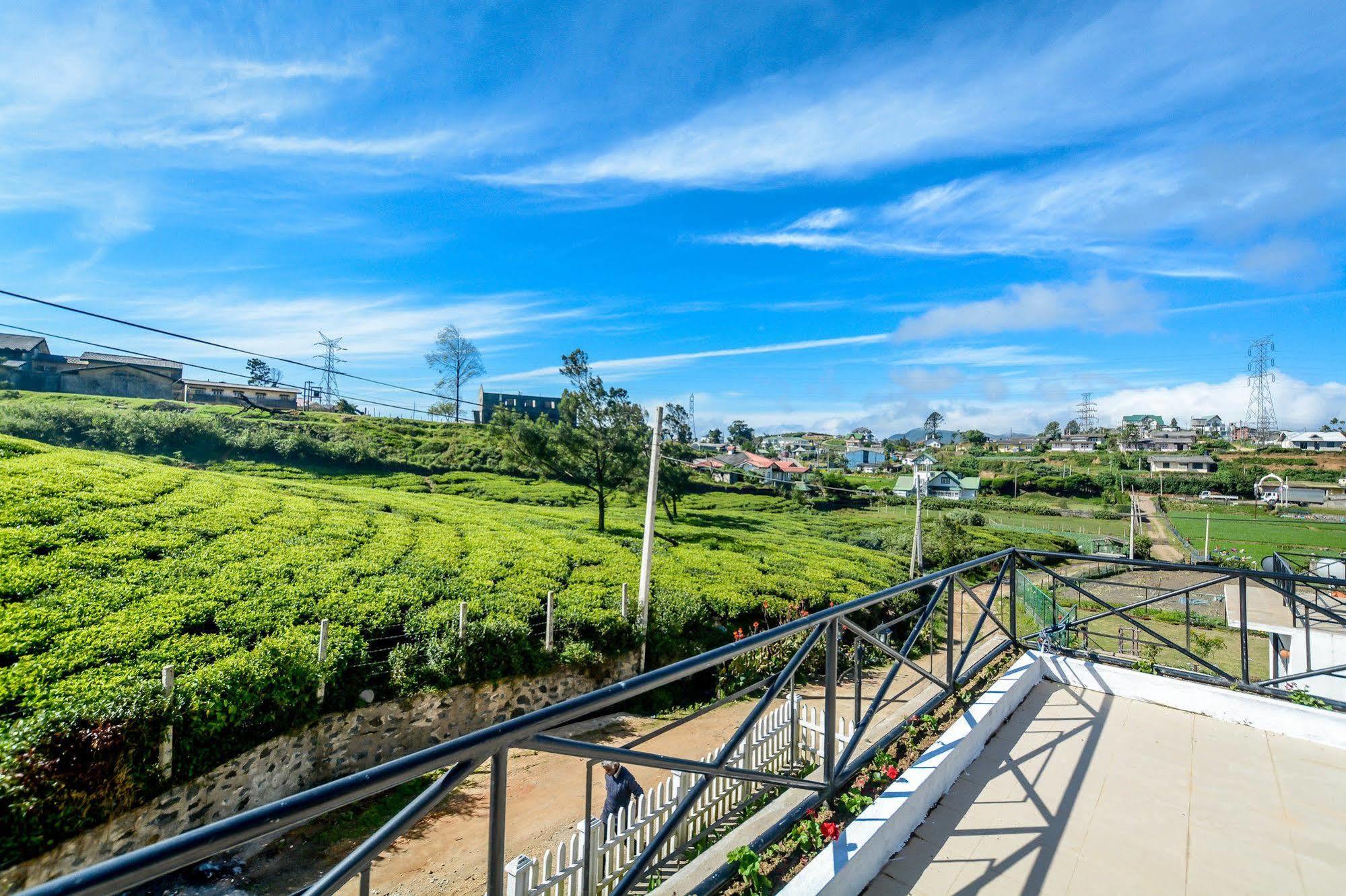 Villa Tea Fields Nuwara Eliya Ngoại thất bức ảnh