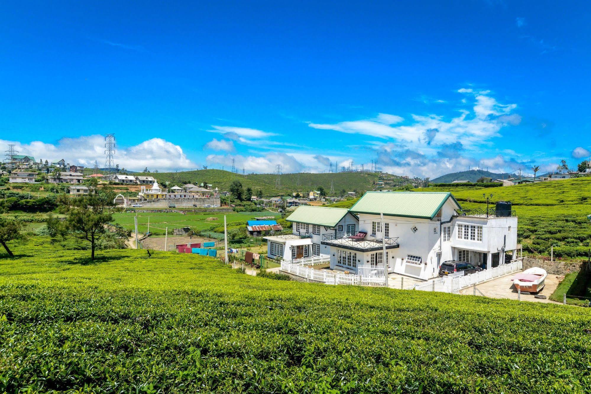 Villa Tea Fields Nuwara Eliya Ngoại thất bức ảnh